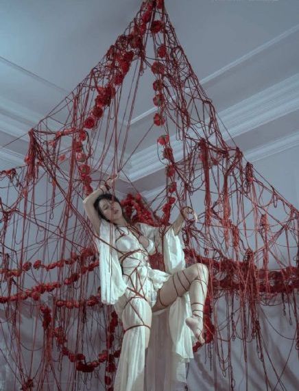 动漫理论片
