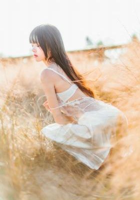 欲望岛在线观看