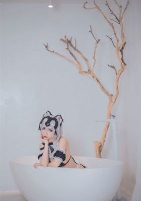 各大卫视节目表今天